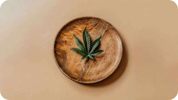 Vermont Medical Cannabis 101