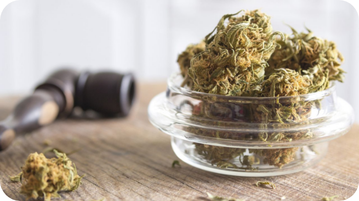 How to Assess THC and CBD Levels in Cannabis Strains and Products