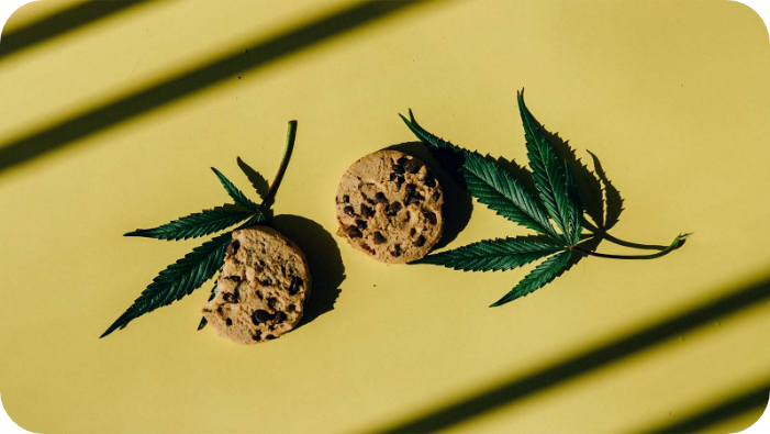 Our Best Sugar Cookie Recipe (with Cannabutter!)