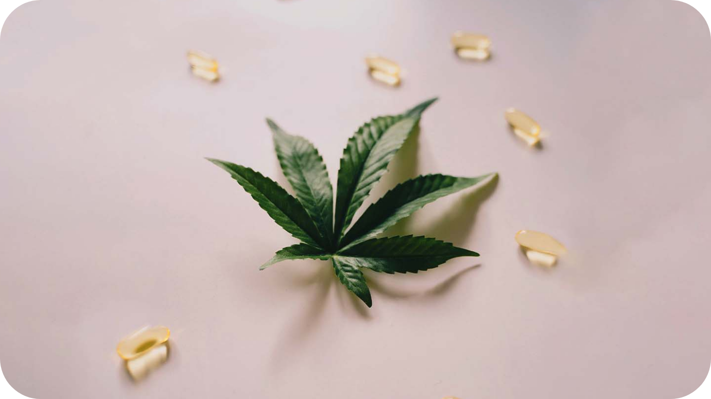 Using Medical Cannabis